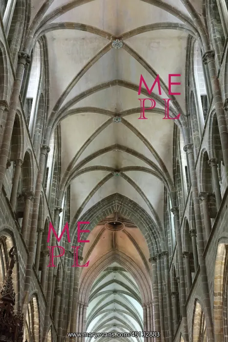 : Ceiling, Nave, Cathedral Saint-Samson, Dol-de-Bretagne : Ceiling, Nave, Cathedral Saint-Samson, Dol-de-Bretagne