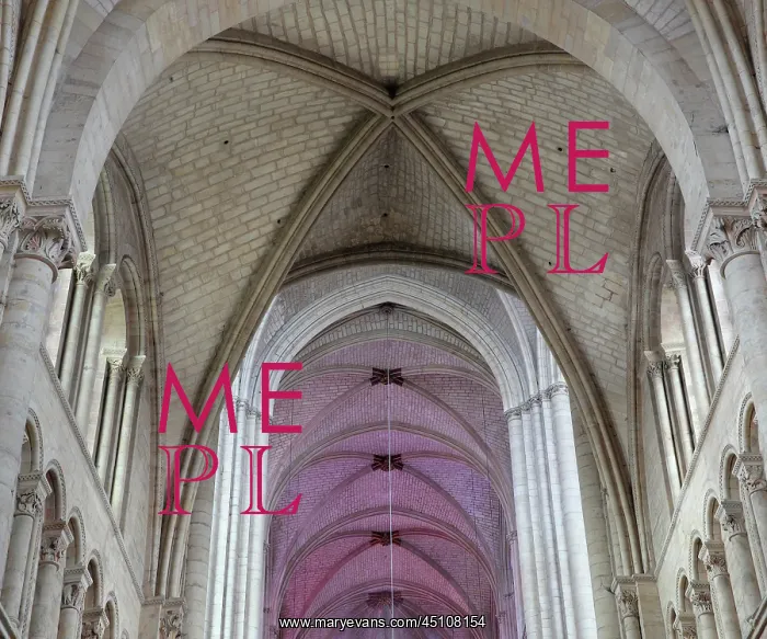 : Ceiling of nave and choir, Cathedrale St-Julien : Ceiling of nave and choir, Cathedrale St-Julien