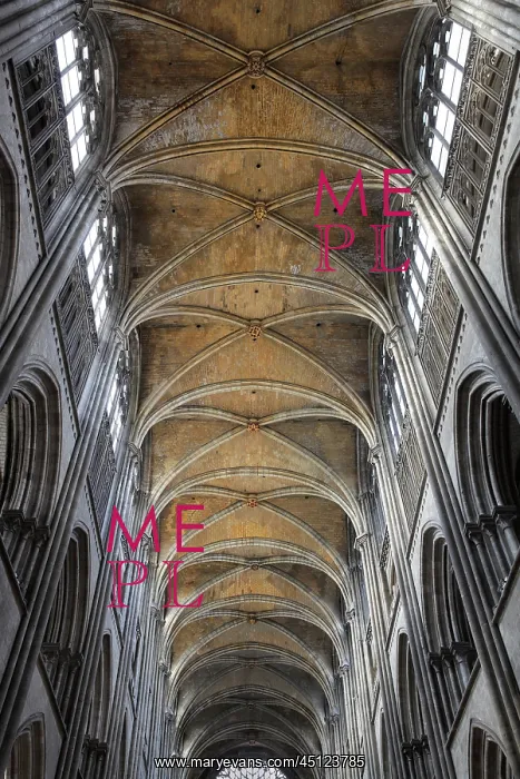 : Ceiling, Nave, Rouen cathedral, Normandy, France : Ceiling, Nave, Rouen cathedral, Normandy, France