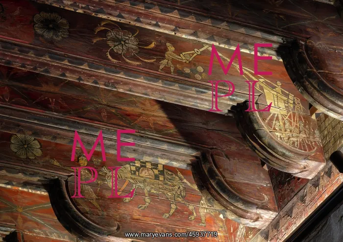 : Ceiling, Palais des Archeveques : Ceiling, Palais des Archeveques