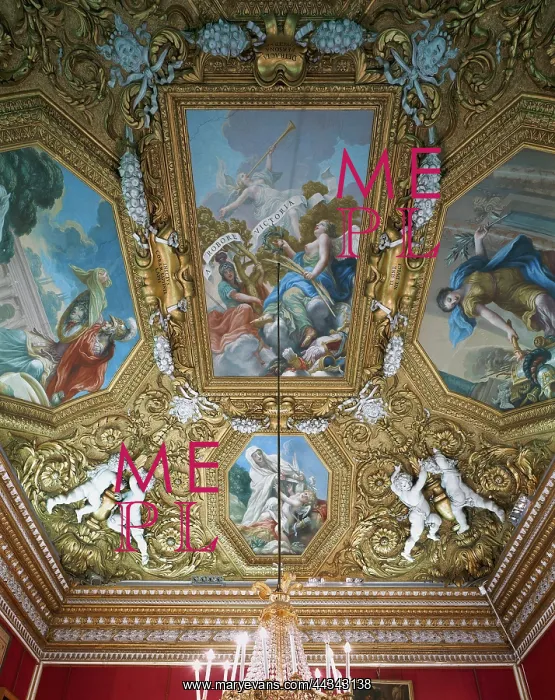 : Ceiling in the Room of : Ceiling in the Room of