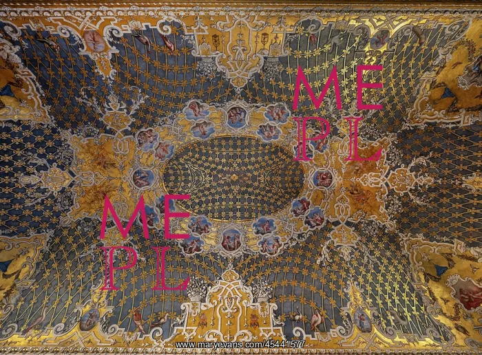 : Ceiling, Sala delle Quattro Stagioni, Palazzo Madama : Ceiling, Sala delle Quattro Stagioni, Palazzo Madama