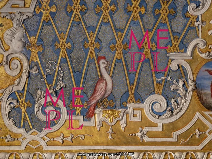 : Ceiling, Sala delle Quattro Stagioni, Palazzo Madama : Ceiling, Sala delle Quattro Stagioni, Palazzo Madama