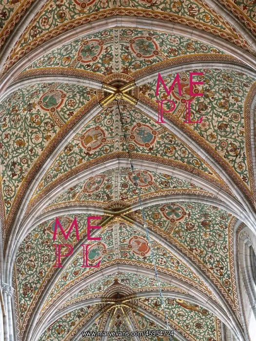 : Ceiling, Uppsala Cathedral, Uppsala, Sweden : Ceiling, Uppsala Cathedral, Uppsala, Sweden