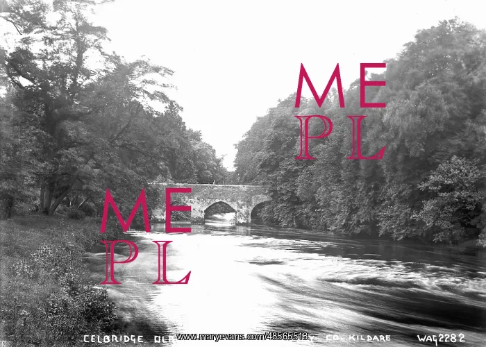 : Celbridge Old Bridge and R. Liffey, Co. Kildare : Celbridge Old Bridge and R. Liffey, Co. Kildare