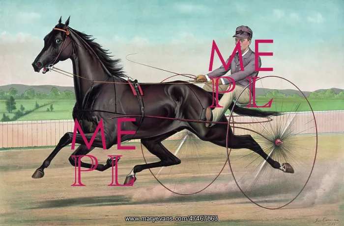 : Celebrated trotter Jay Eye See, driven by Ed. Bithers: By Di : Celebrated trotter Jay Eye See, driven by Ed. Bithers: By Di