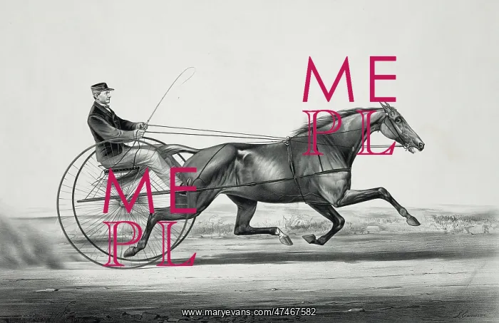 : The celebrated trotting mare Widow McChree, formerly called : The celebrated trotting mare Widow McChree, formerly called