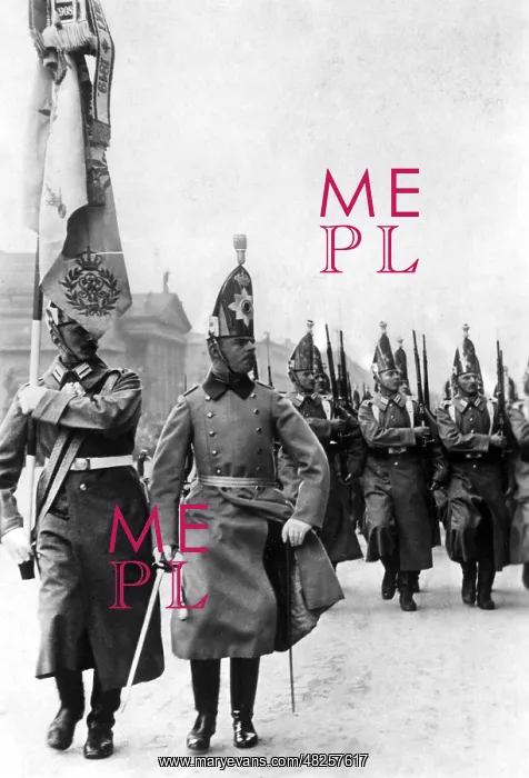 : Celebration of the emperor's birthday, 1913 : Celebration of the emperor's birthday, 1913