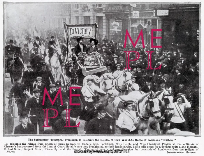 : Celebrations of Suffragettes Release from Prison 1908 : Celebrations of Suffragettes Release from Prison 1908