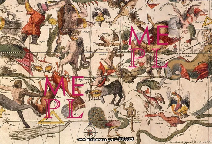 : Celestial Chart : Celestial Chart