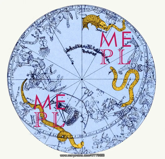 : Celestial Globe Illustration : Celestial Globe Illustration