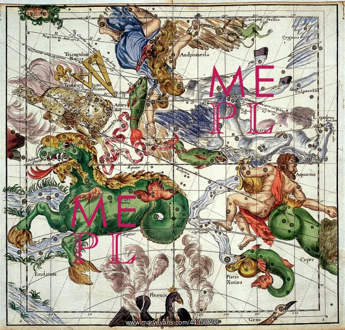 : Celestial star map of the Constellations : Celestial star map of the Constellations
