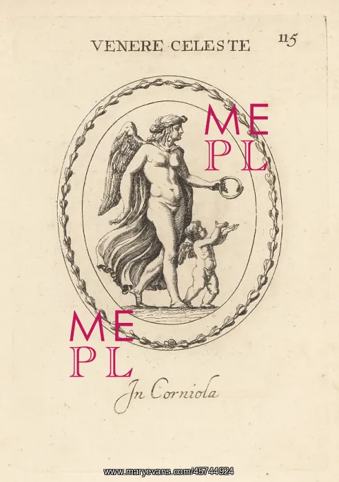: Celestial Venus: winged figure of the goddess of love : Celestial Venus: winged figure of the goddess of love