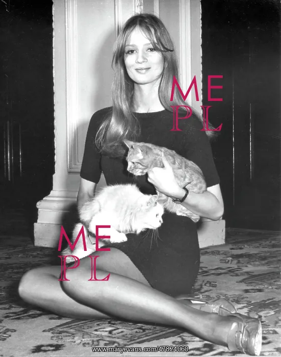 : Celia Hammond - model and animal campaigner : Celia Hammond - model and animal campaigner