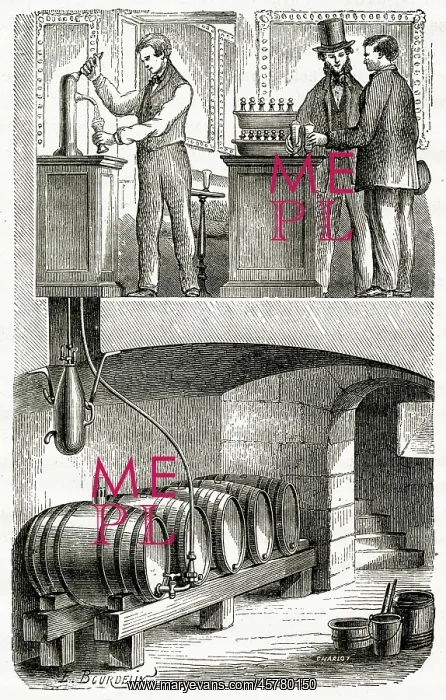 : FROM CELLAR TO BAR : FROM CELLAR TO BAR