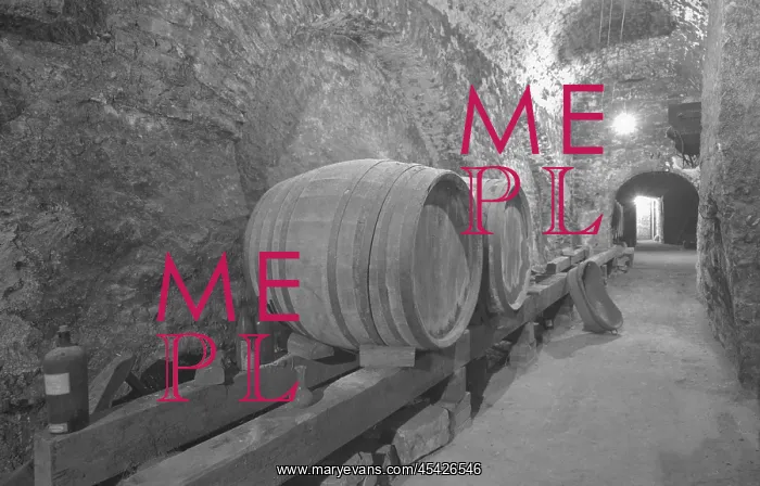 : Cellar - barrel - wine - vintage : Cellar - barrel - wine - vintage