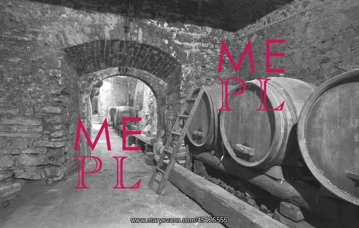 : Cellar - barrel - wine - vintage : Cellar - barrel - wine - vintage