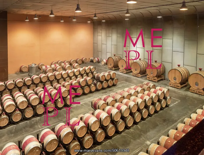 : Cellar, Bodegas Torres, Pacs del Penedes, Catalonia, Spain : Cellar, Bodegas Torres, Pacs del Penedes, Catalonia, Spain