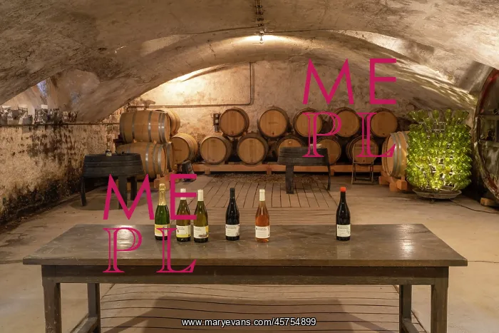 : Cellar, Chateau de Javernand, Chiroubles, Beaujolais, France : Cellar, Chateau de Javernand, Chiroubles, Beaujolais, France
