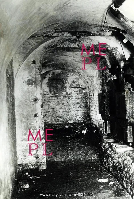 : Cellar of the Luitpold Gymnasium, 1919 : Cellar of the Luitpold Gymnasium, 1919