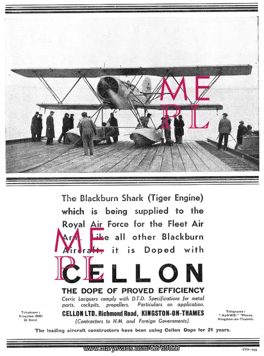 : Cellon Aircraft Fabric Dope - Blackburn Shark : Cellon Aircraft Fabric Dope - Blackburn Shark