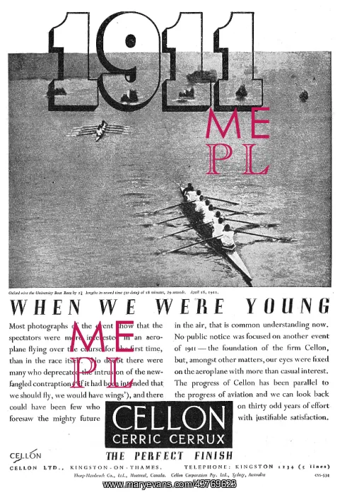  : Cellon Protective Finishes