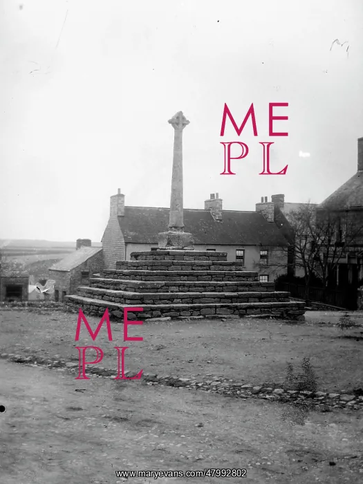 : Celtic Cross, Cross Square, St David's, South Wales : Celtic Cross, Cross Square, St David's, South Wales