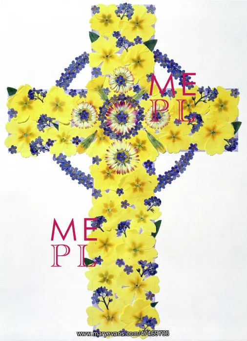 : Celtic Cross ? from pressed flowers : Celtic Cross ? from pressed flowers