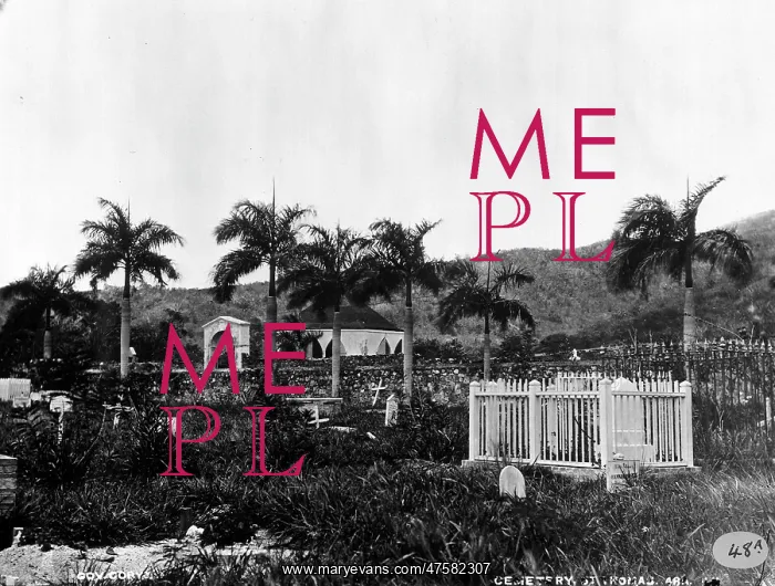 : The Cemetary at St. Thomas, West Indies (1873) : The Cemetary at St. Thomas, West Indies (1873)