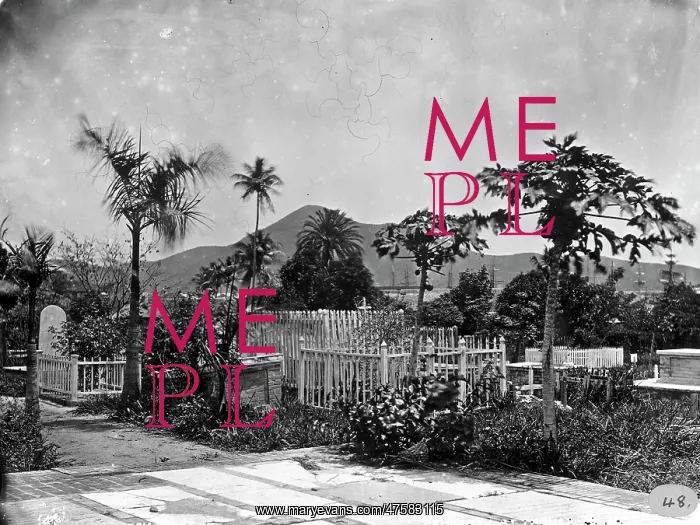 : Cemetary, St. Thomas, West Indies (1873) : Cemetary, St. Thomas, West Indies (1873)