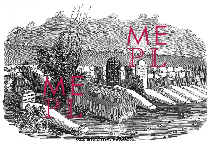 : The Cemetery on Balaklava Heights 1856 : The Cemetery on Balaklava Heights 1856