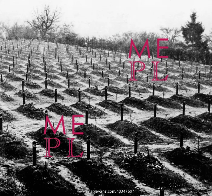 : The cemetery of Hadamar, 1945 : The cemetery of Hadamar, 1945