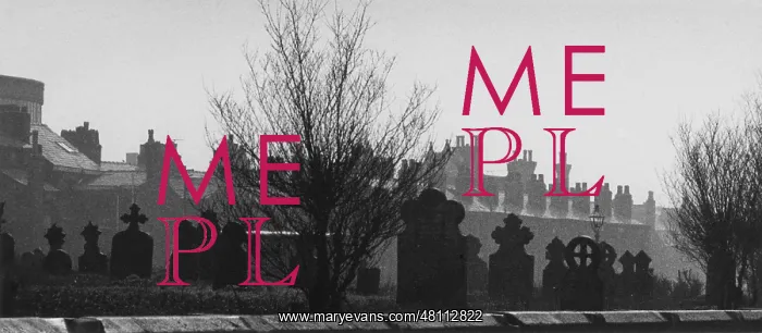 : Cemetery and housing : Cemetery and housing