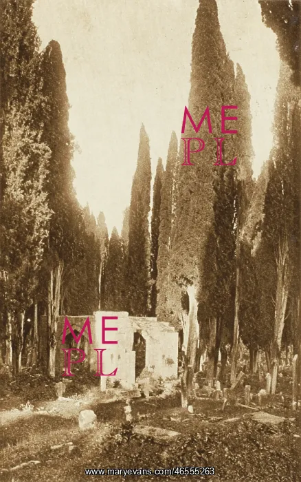 : Cemetery at Scutari - Constantinople : Cemetery at Scutari - Constantinople