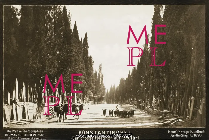 : Cemetery at Scutari, Constantinople : Cemetery at Scutari, Constantinople