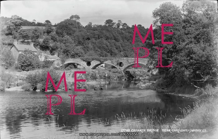 : Cenarth Bridge : Cenarth Bridge