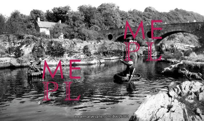  : Cenarth, Coracle Fishing c1960