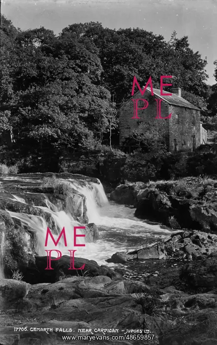 : Cenarth Falls : Cenarth Falls