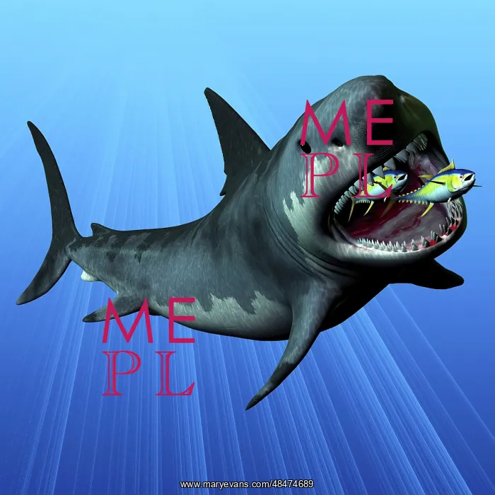 : A Cenozoic Era Megalodon devours two swimming tuna : A Cenozoic Era Megalodon devours two swimming tuna