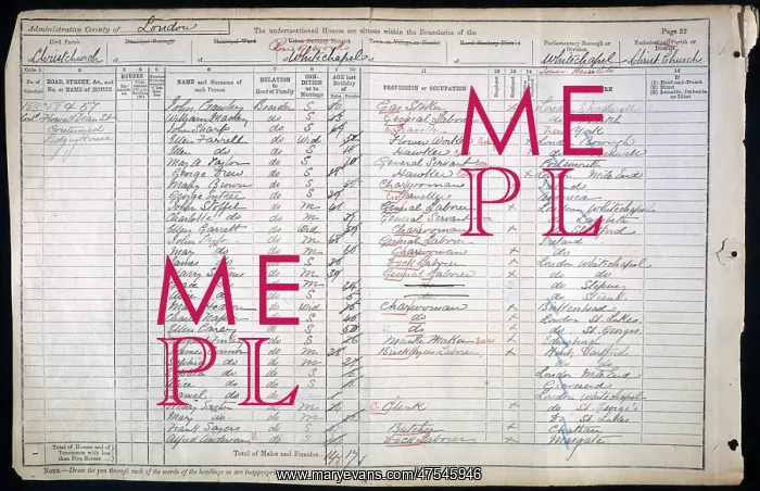  : Census 1901