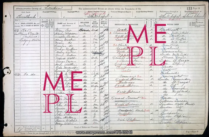  : Census 1901
