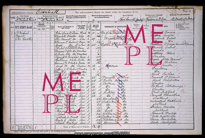  : Census 1901