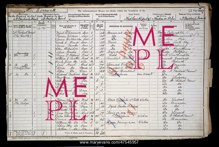  : Census 1901