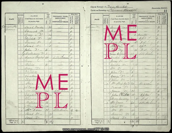  : Census entry for William Toye