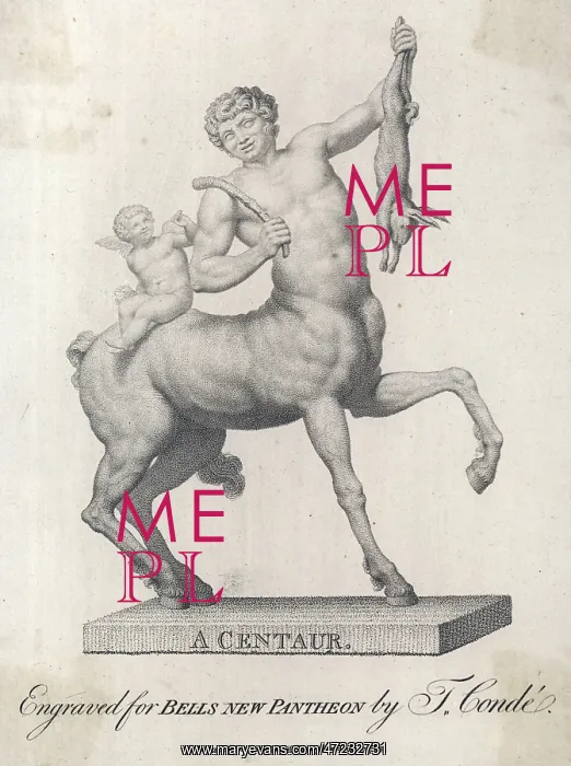 : Centaur and Rabbit : Centaur and Rabbit