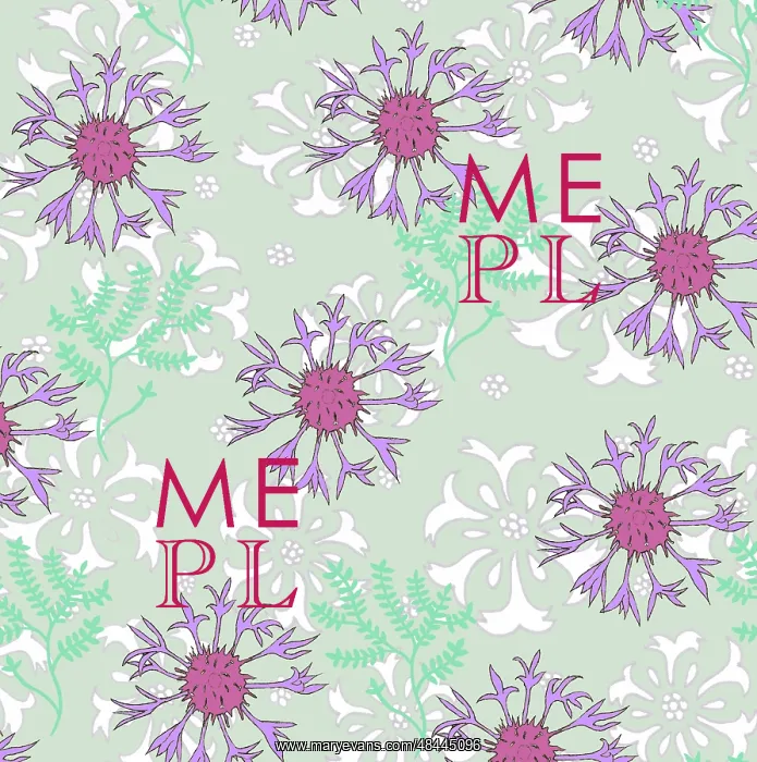  : Centaurea montana repeating pattern