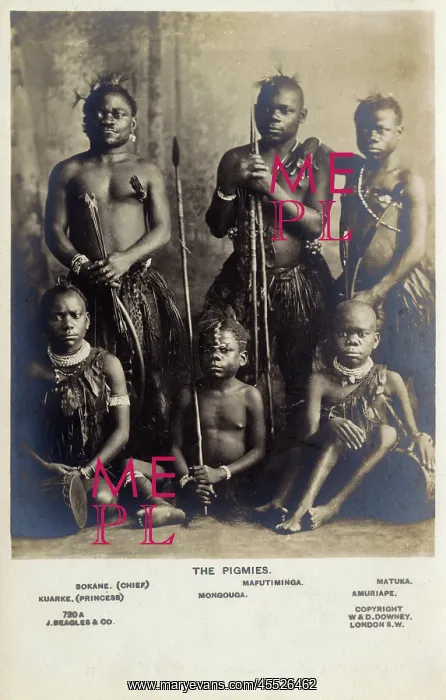 : Central African Pygmies : Central African Pygmies