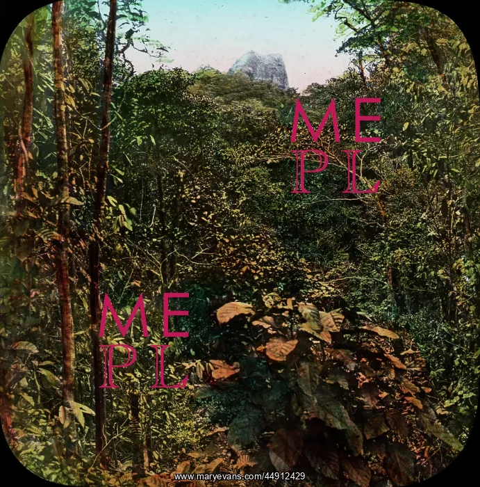 : Central America - Gold Mining - Lantern Slide series : Central America - Gold Mining - Lantern Slide series