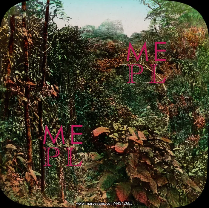 : Central America - Gold Mining - Lantern Slide series : Central America - Gold Mining - Lantern Slide series