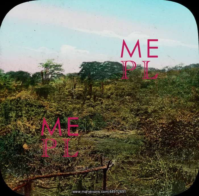 : Central America - Gold Mining - Lantern Slide series : Central America - Gold Mining - Lantern Slide series